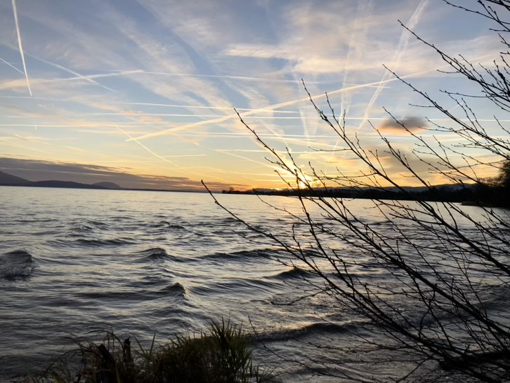 0923D0DC 17E7 4974 B24D FB8A6CDFC7E2