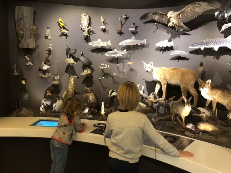 12D63615 A570 4242 BF03 9F7FD510B540