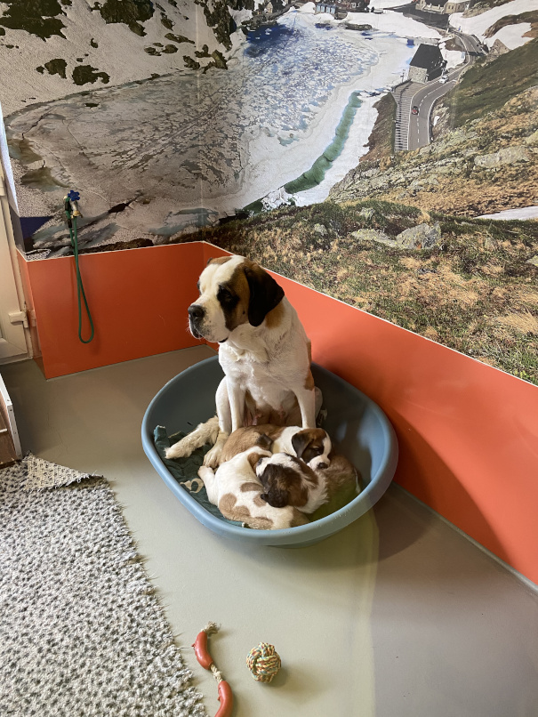 592856BE F571 4C43 96E4 353711AE49FC