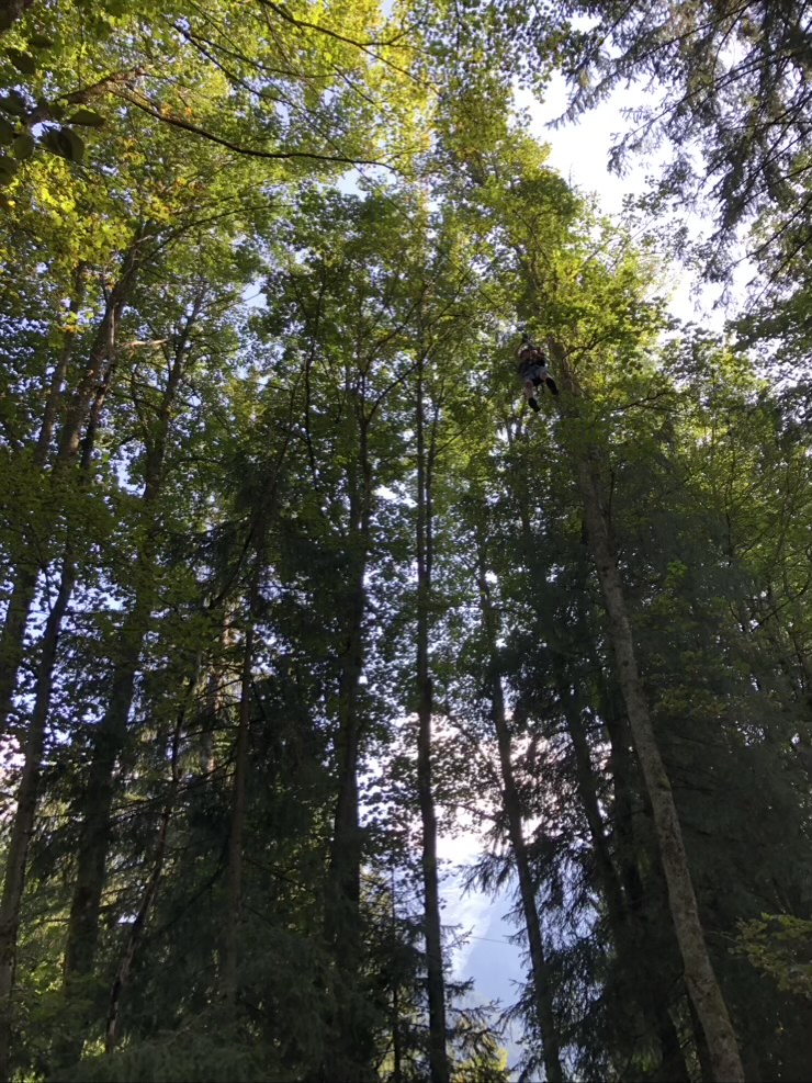 7C8EB9C7 1853 4C0C AB7F 528E0C65EDD2