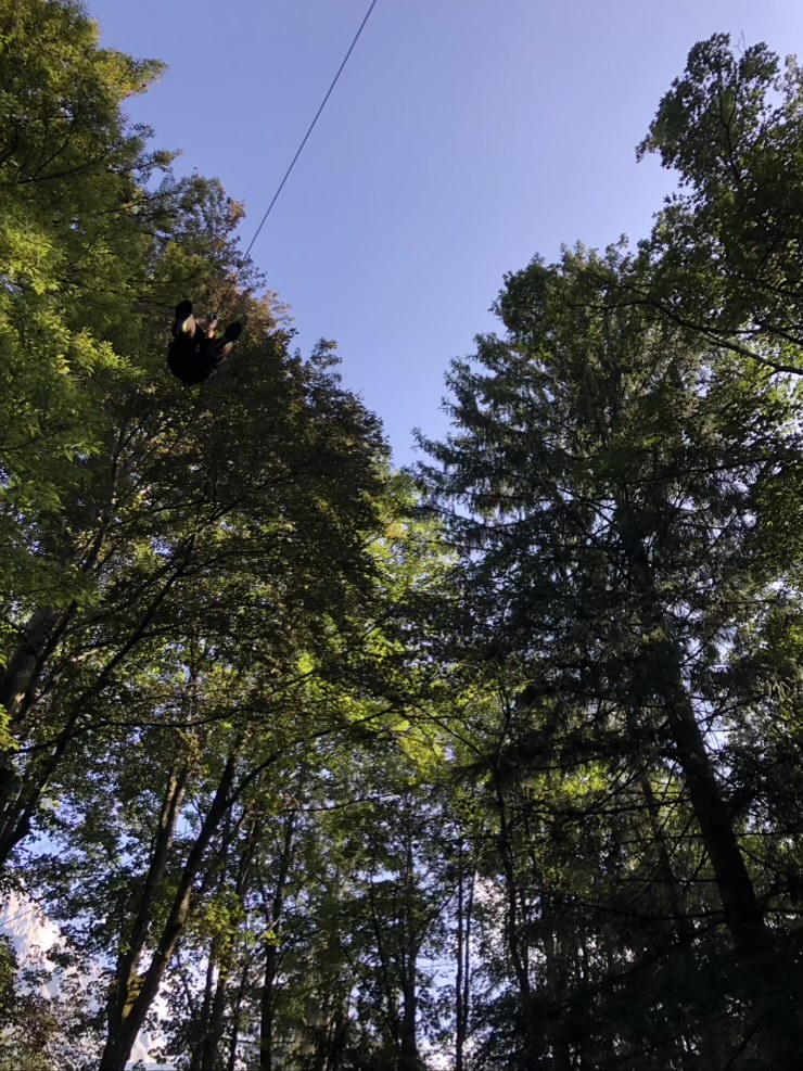 8CDC7492 2BB1 401B 8DC1 2019671C82D4