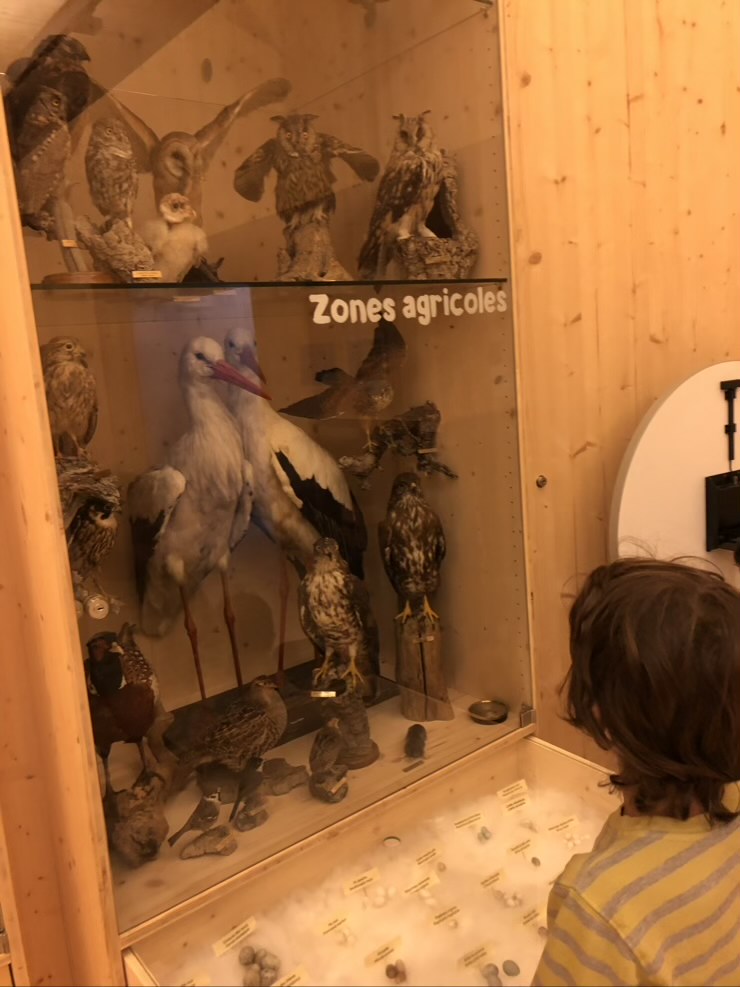 B9AB97BB DF7A 4F83 8CA8 D27CD684CE1F