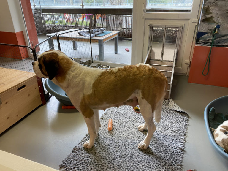 F81F3694 5A8C 4028 9E97 64D4A06F9726 768x576